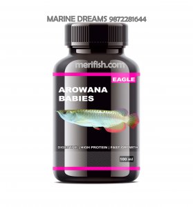 EAGLE AROWANA BABIES 100ML