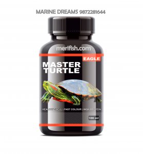 EAGLE MATER TURTLE 100ML