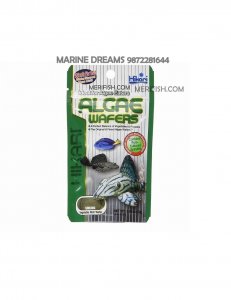HIKARI ALGAE WAFERS 20 GM