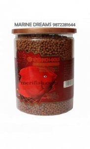 INCH GOLD RED PARROT 480 GM