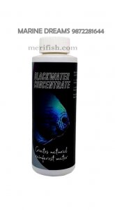 BLACK WATER CONCENTRATE 120 ML