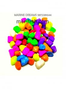 NEON MULTICOLOUR STONE 1 KG