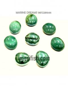 GREEN DOUBLE SHADE HALF ROUND GLASS STONES 1 KG