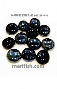 BLACK SHINE HALF ROUND GLASS STONE 1 KG