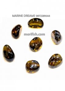 COLA TRISIDE GLASS STONES 1 KG