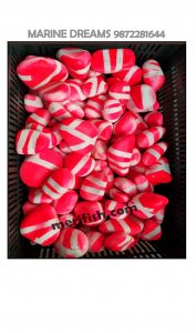 RED STONES WITH WHITE STRIPS 1 KG