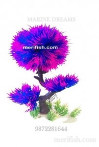 TREE SHAPE BALL PLANT