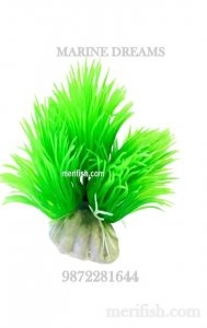 GREEN GRASS PLANT 4 INCH