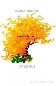 SIDE BEND TREE PLANT