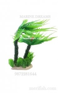 COCONUT LEAF TREE PLANT