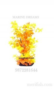 LONG SMALL LEAF PLANT 12 INCH