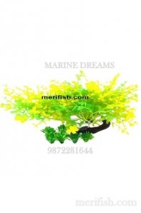 SMALL TREE PLANT 6 INCH